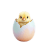 Ayam Menetas